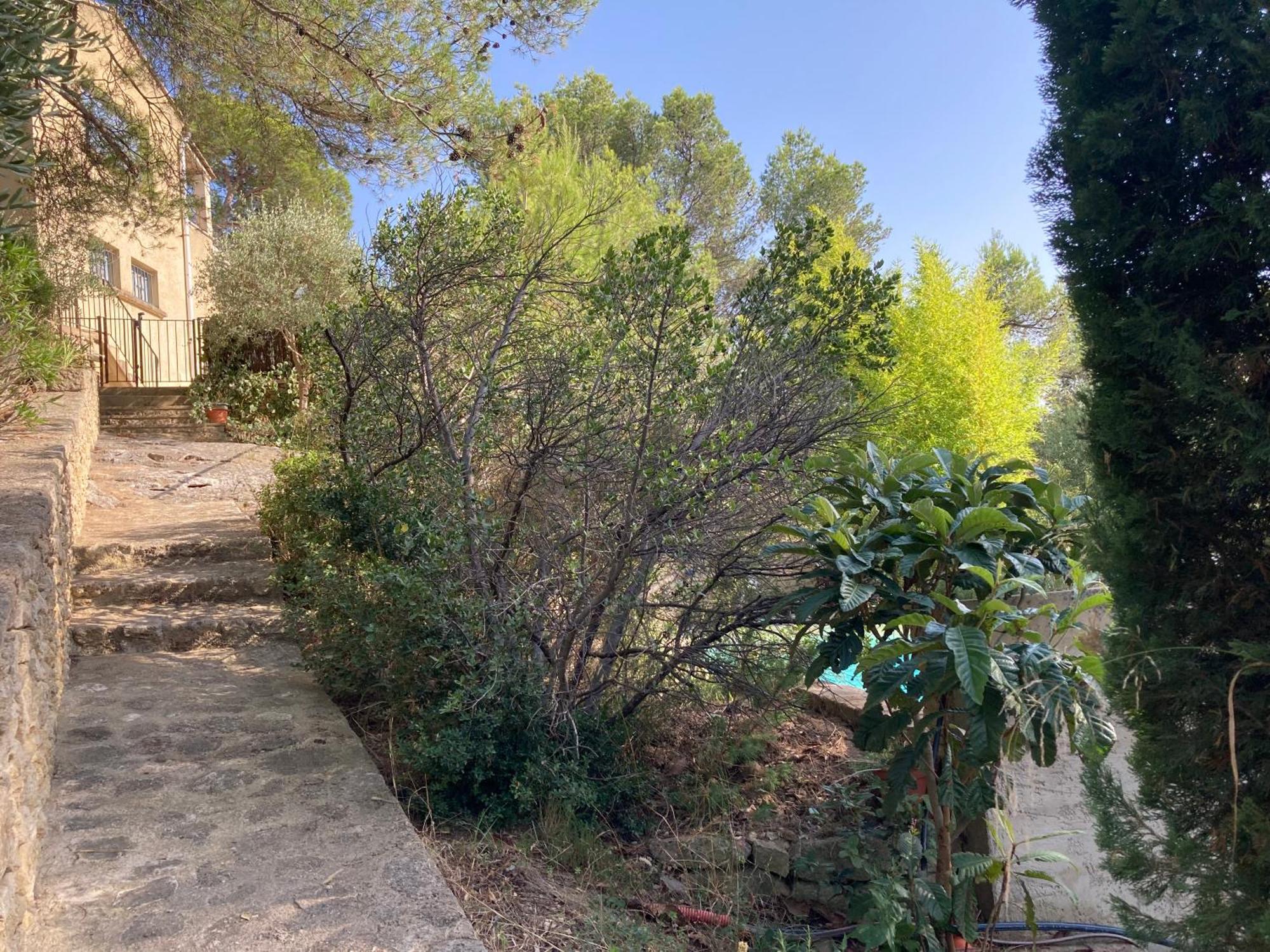 Le Gite Sous Les Pins Les Taillades Экстерьер фото